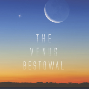 The Venus Bestowal - eBook
